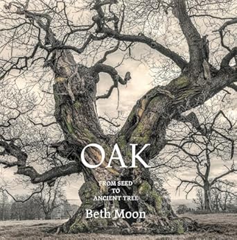 oak from seed to ancient tree 1st edition beth moon ,todd forrest 0789215187, 978-0789215185