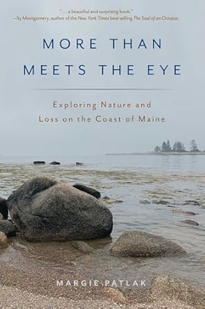 more than meets the eye exploring nature and loss on the coast of maine 1st edition margie patlak 1608937534,