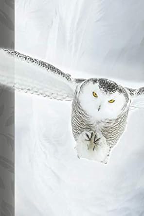 mystical flying snowy white owl journal composition / notebook to write in 1st edition sobrina d'sebastian