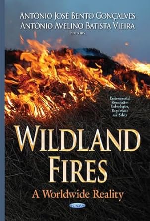 wildland fires a worldwide reality 1st edition antonio jose bento goncalves ,antonio avelino batista vieira