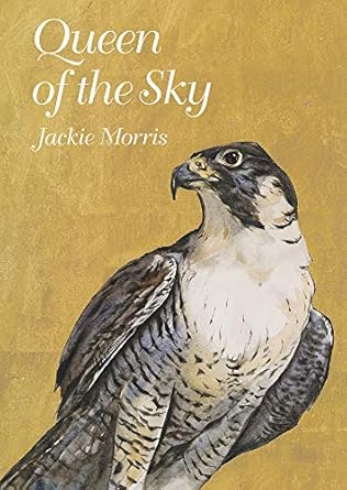 queen of the sky 1st edition jackie morris 1913634779, 978-1913634773