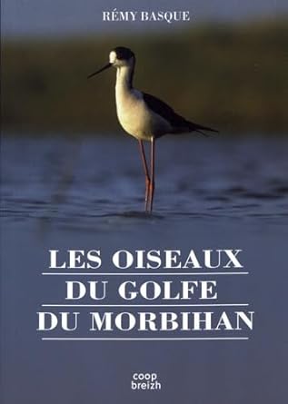 les oiseaux du golfe du morbihan 1st edition remy basque 2843467349, 978-2843467349