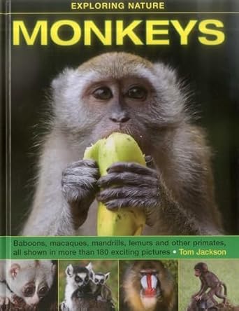exploring nature monkeys baboons macaques mandrills lemurs and other primates all shown in more than 180