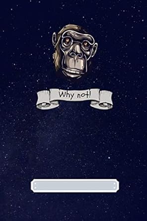 why not 1st edition gdimido art 1793198241, 978-1793198242