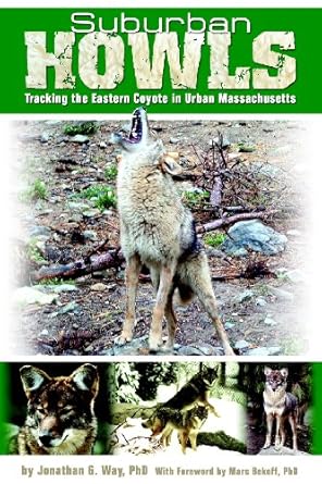 suburban howls tracking the eastern coyote in urban massachusetts 1st edition ph d way, jonathan g ,marc