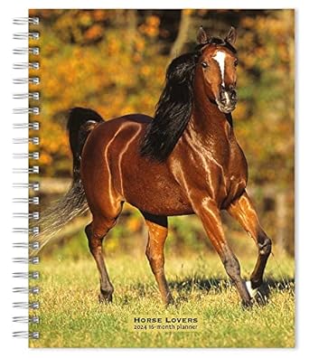 horse lovers 2024 6 x 7 75 inch spiral bound wire o weekly engagement planner calendar new full color image