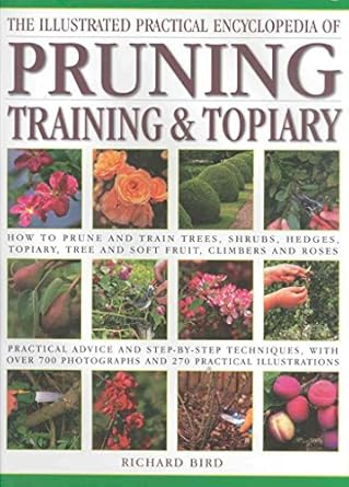 illustrated practical encyclopedia of pruning training and topiary how to prune and train trees shrubs hedges