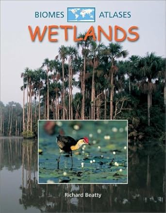 wetlands 1st edition richard beatty 0739852515, 978-0739852514
