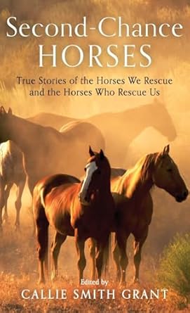 second chance horses true stories of the horses we rescue and the horses who rescue us 1st edition callie