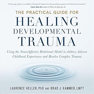the practical guide for healing developmental trauma using the neuroaffective relational model to address