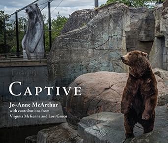 captive 1st edition jo anne mcarthur 1590565622, 978-1590565629