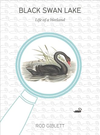 black swan lake life of a wetland 1st edition rod giblett 1841507040, 978-1841507040