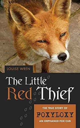 the little red thief 1st edition louise wren 1861511817, 978-1861511812