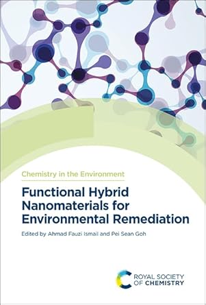 functional hybrid nanomaterials for environmental remediation 1st edition ahmad fauzi ismail ,pei sean goh