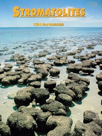 stromatolites 1st edition ken mcnamara 0730952150, 978-0730952152