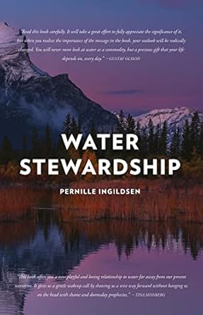 water stewardship 1st edition pernille ingildsen 178906032x, 978-1789060324