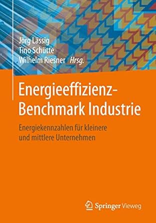 energieeffizienz benchmark industrie energiekennzahlen fur kleinere und mittlere unternehmen 1st edition jorg