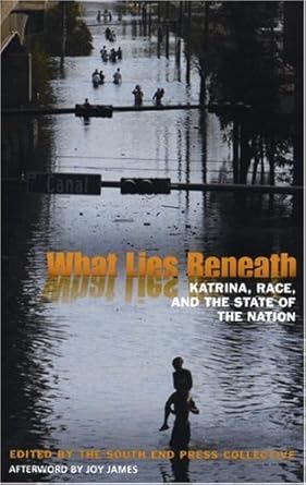 what lies beneath katrina race and the state of the nation 1st edition the south end press collective ,joy