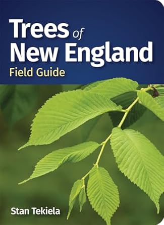 trees of new england field guide 1st edition stan tekiela 1647554535, 978-1647554538