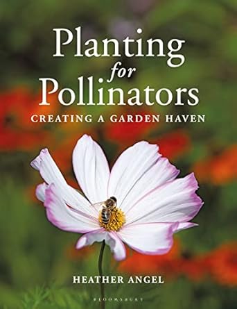 planting for pollinators creating a garden haven 1st edition heather angel 1399403028, 978-1399403023