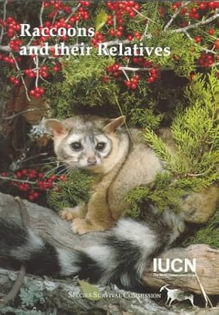 raccoons and their relatives 1st edition david stone 2831700515, 978-2831700519