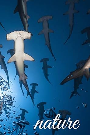 nature lined notebook / journal with hammerhead sharks 1st edition t r popster 1097136051, 978-1097136056