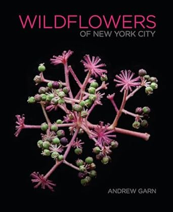 wildflowers of new york city 1st edition andrew garn 150175162x, 978-1501751622