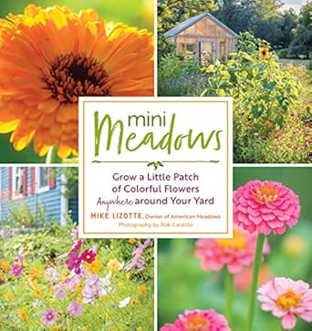 mini meadows grow a little patch of colorful flowers anywhere around your yard 1st edition mike lizotte