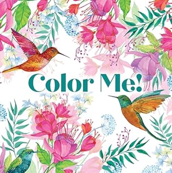 color me 1st edition new seasons ,publications international ltd 1639387811, 978-1639387816