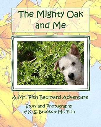 the mighty oak and me a mr pish backyard adventure 1st edition k s brooks ,mr pish 1483931765, 978-1483931760
