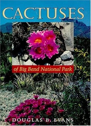 cactuses of big bend national park 1st edition douglas b evans 029272098x, 978-0292720985
