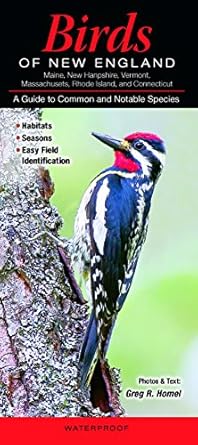 birds of new england 1st edition greg r homel 1936913771, 978-1936913770