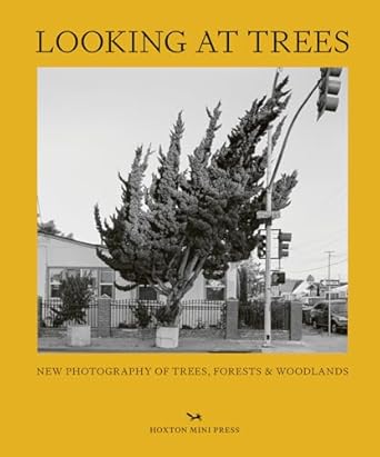 looking at trees new photography of trees forests and woodlands 1st edition sophie howarth 1914314409,