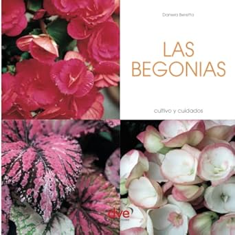 las begonias 1st edition daniela beretta 1644611252, 978-1644611258