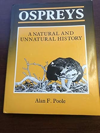 ospreys a natural and unnatural history 1st edition alan f poole 052130623x, 978-0521306232