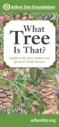 what tree is that a guide to the more common trees found in north america 1st edition arbor day foundation