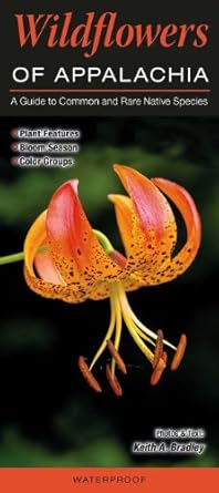 wildflowers of appalachia 1st edition keith a bradley 1936913593, 978-1936913596
