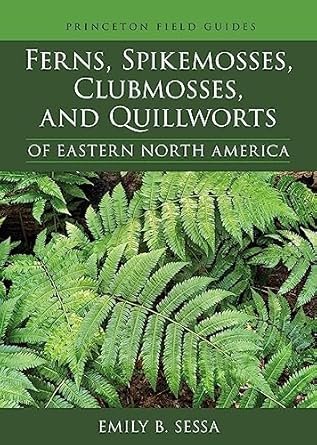 ferns spikemosses clubmosses and quillworts of eastern north america 1st edition emily sessa 0691219451,