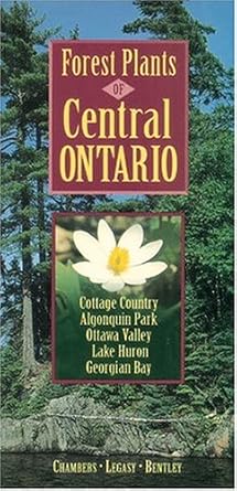 forest plants of central ontario 1st edition karen legasy ,cathy bentley ,brenda chambers 1551050617,