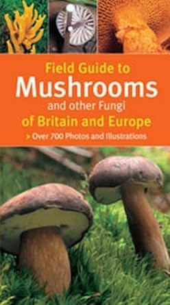 field guide to mushrooms and other fungi of britain and europe 1st edition michael 1845374746, 978-1845374747