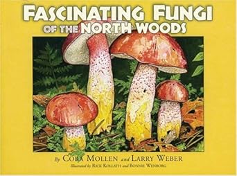 fascinating fungi of the north woods 1st edition cora mollen ,larry weber ,rick kollath ,bonnie wenborg