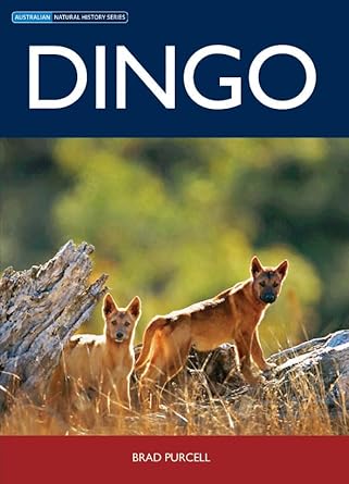 dingo op 1st edition brad purcell 0643096930, 978-0643096936