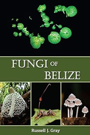 fungi of belize 1st edition russell j gray 0692183558, 978-0692183557