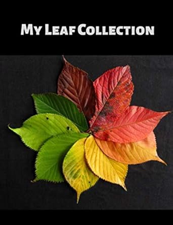my leaf collection activity book for adults and kids of all ages in 8 5 x 11 with 100 blank pages 1st edition