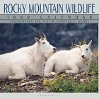 cal 99 rocky mountain wildlife 1st edition jennifer a loomis 0763114618, 978-0763114619