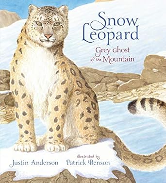 snow leopard grey ghost of the mountain 1st edition justin anderson 1406378283, 978-1406378283