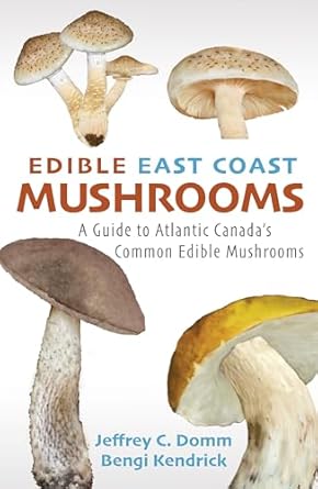 edible east coast mushrooms a guide to atlantic canadas common edible mushrooms 1st edition jeffrey c domm