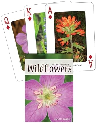 wildflowers of the northeast playing cards 1st edition jaret daniels 1591933943, 978-1591933946