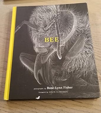 bee 1st edition rose lynn fisher ,verlyn klinkenborg 156898944x, 978-1568989440