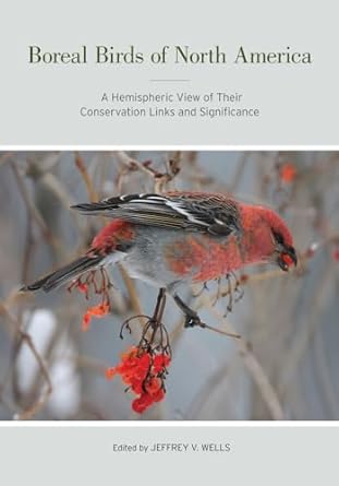boreal birds of north america a hemispheric view of their conservation links and significance 1st edition